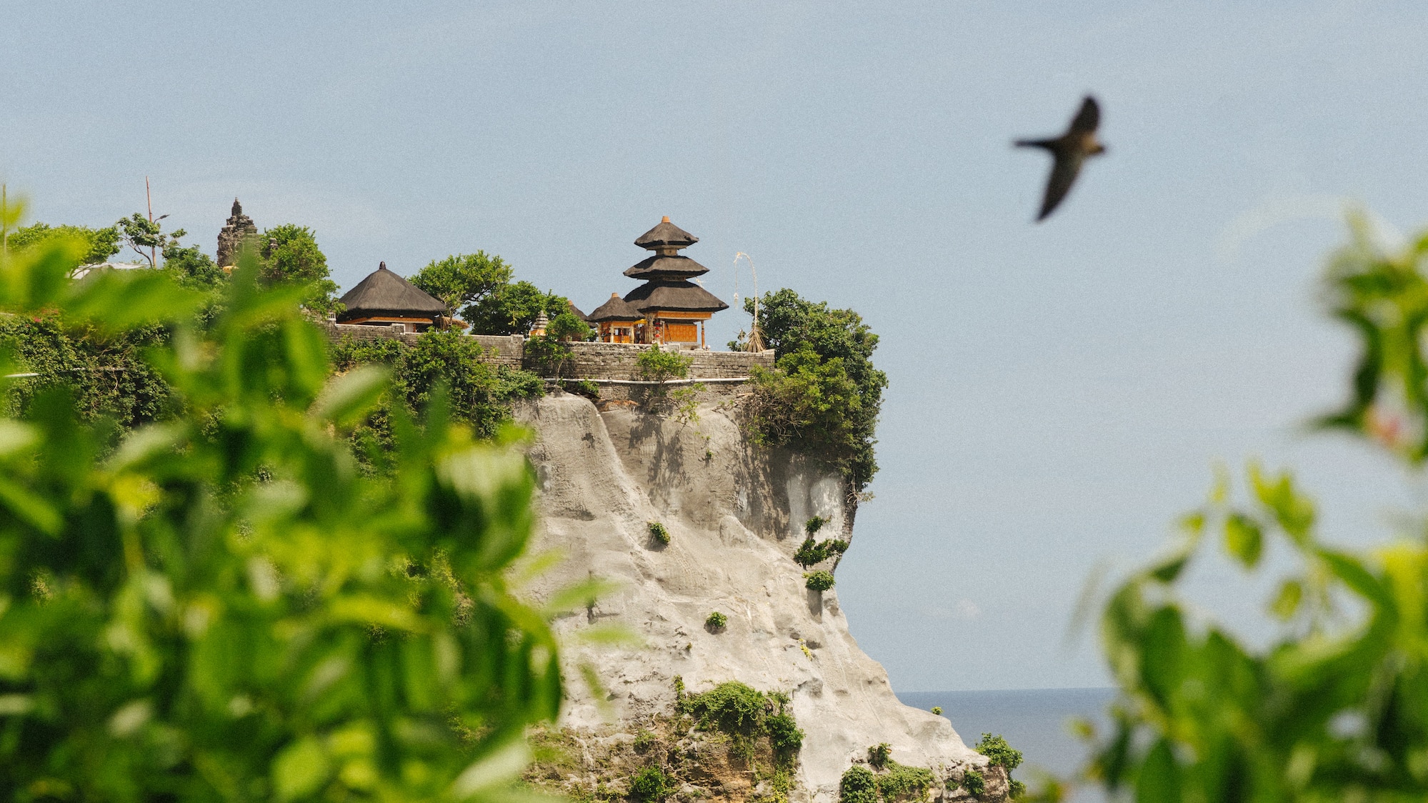 a bird flying over a cliff.