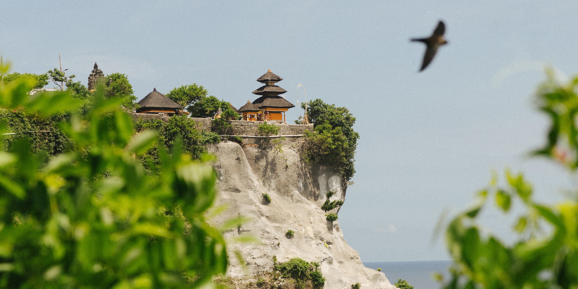 a bird flying over a cliff.