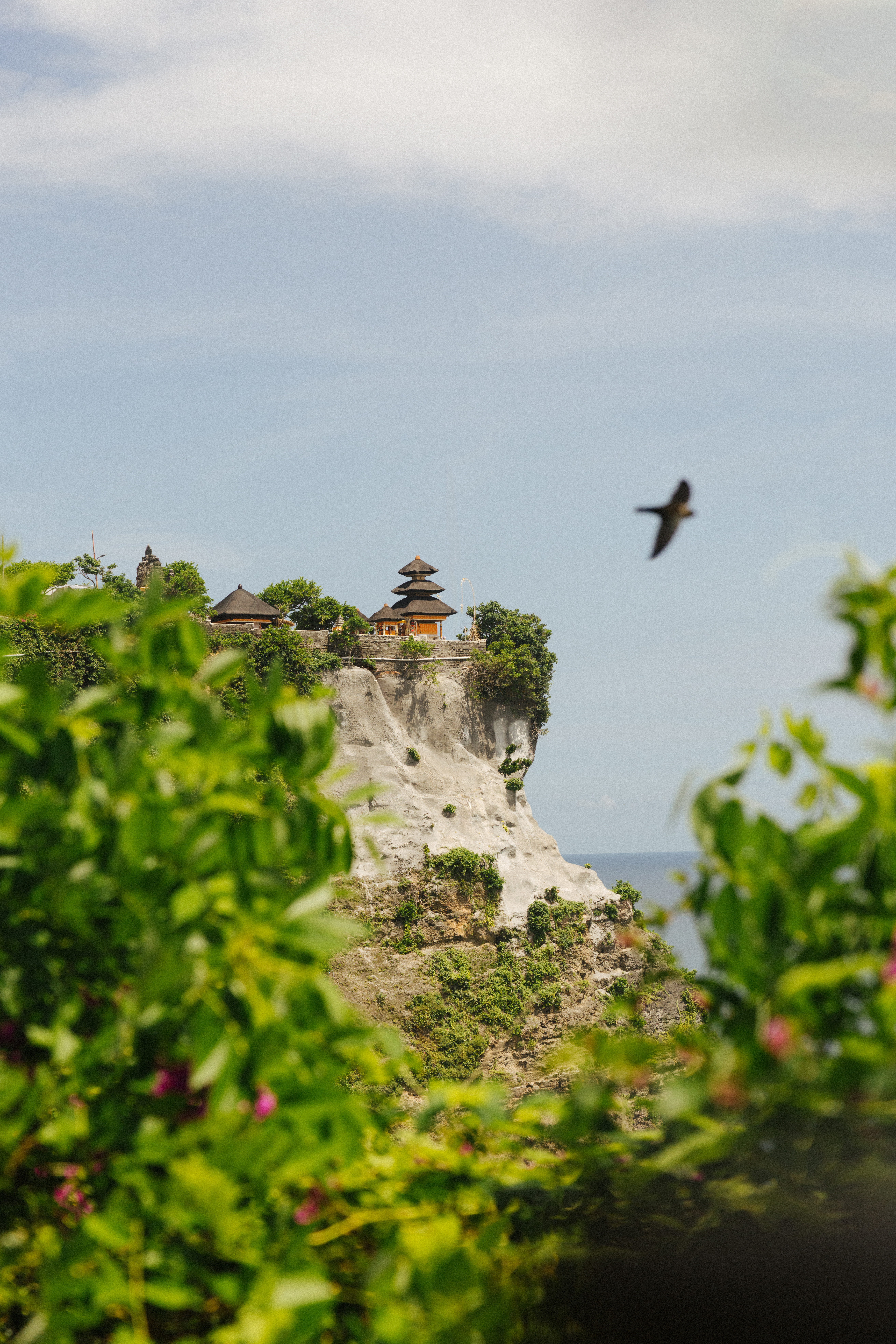 a bird flying over a cliff.