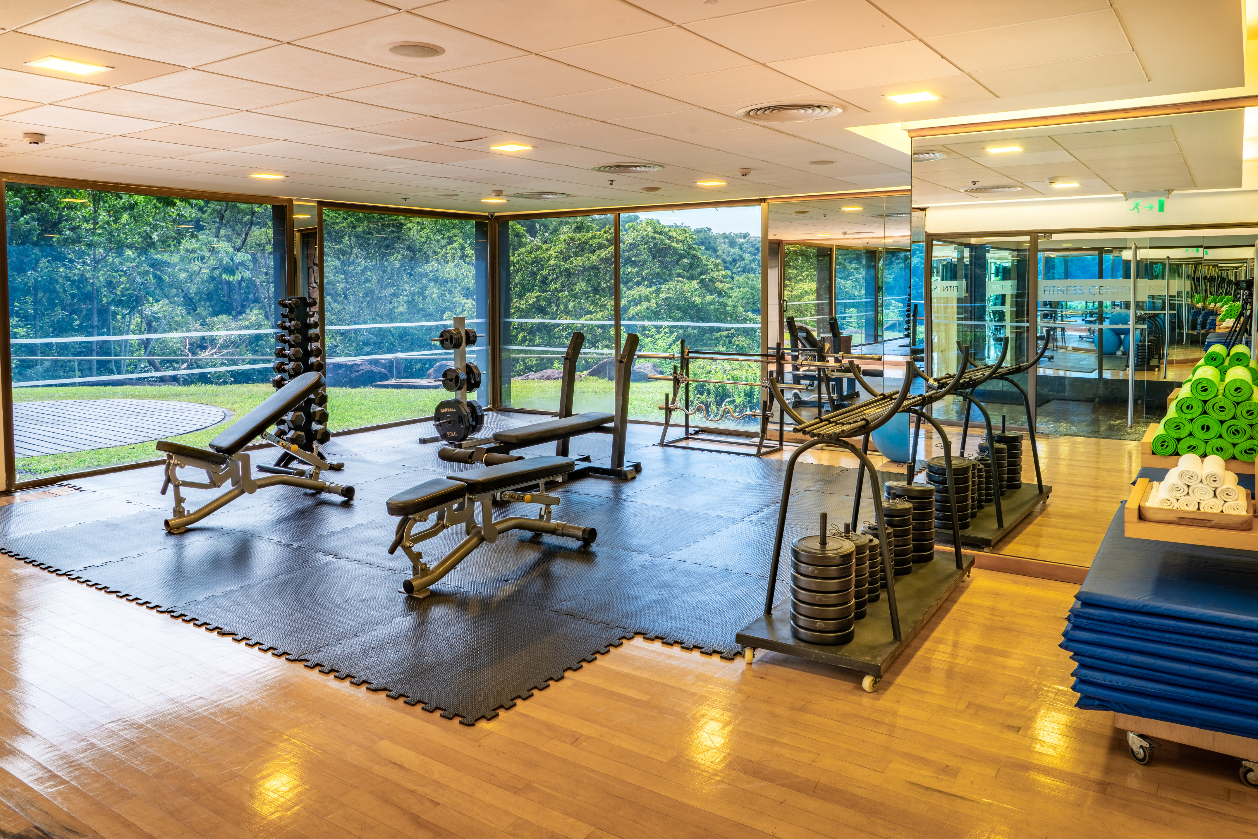 Fitness center with exercise equipment, yoga mats, and scenic forest view.