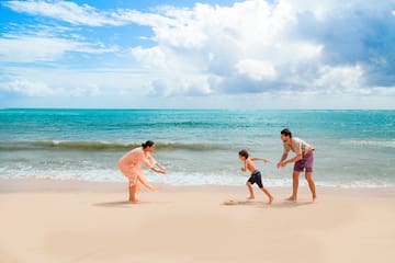 a group of people playing on a beach