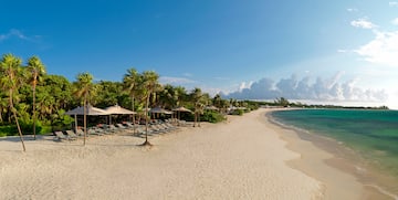 a beach with umbrellas and chairs