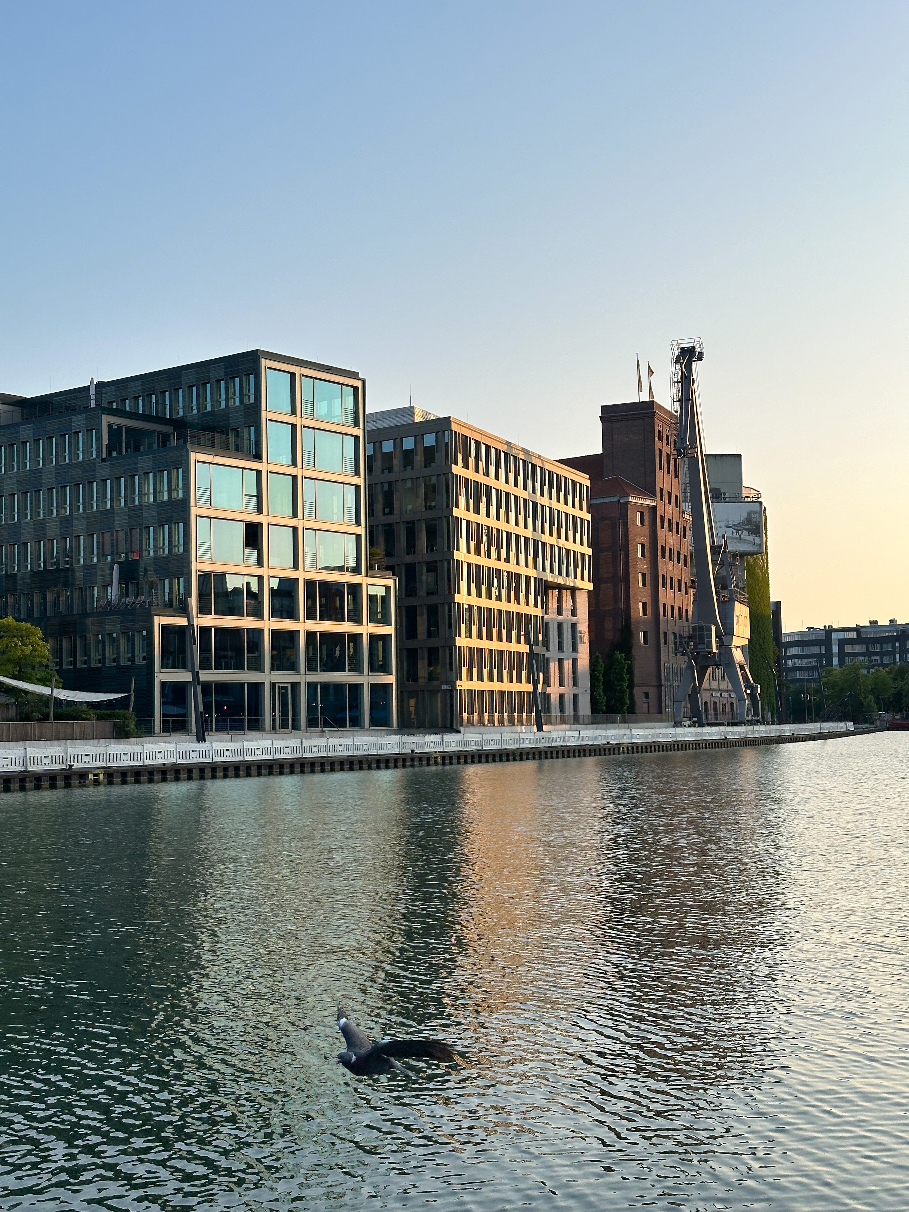 a body of water with buildings in the background