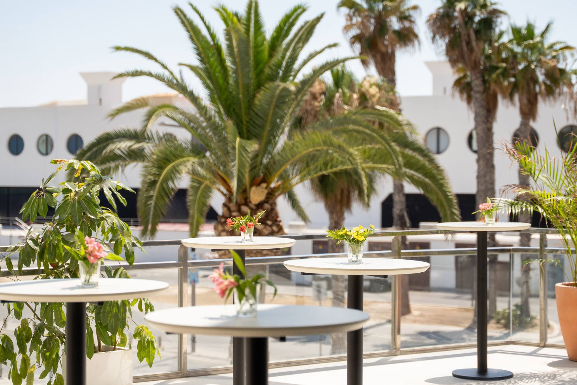 Sunny outdoor terrace with cocktail tables, flowers, and tropical palm trees.