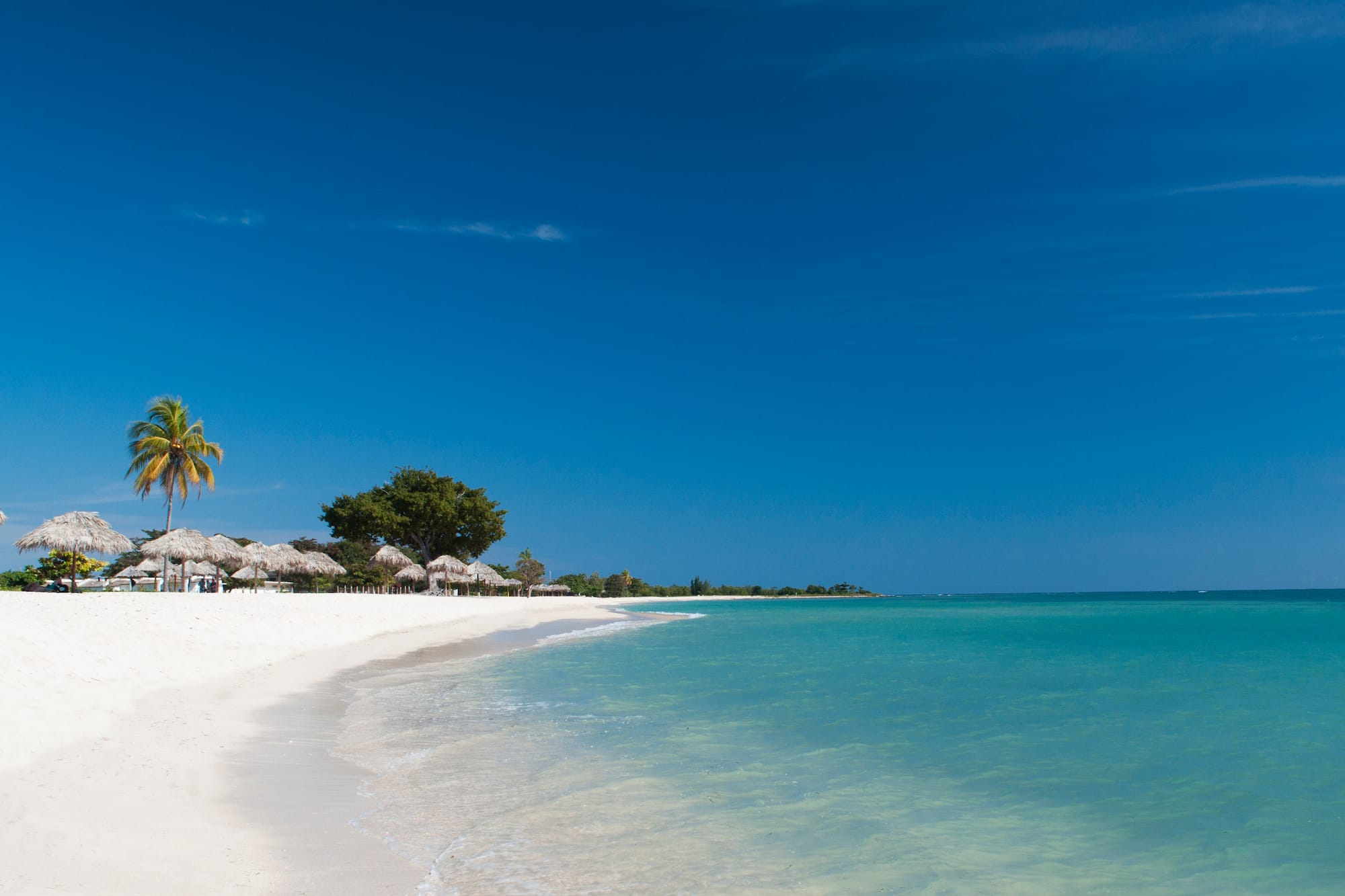 Playa caribeña de arena blanca con palmeras y aguas turquesas.