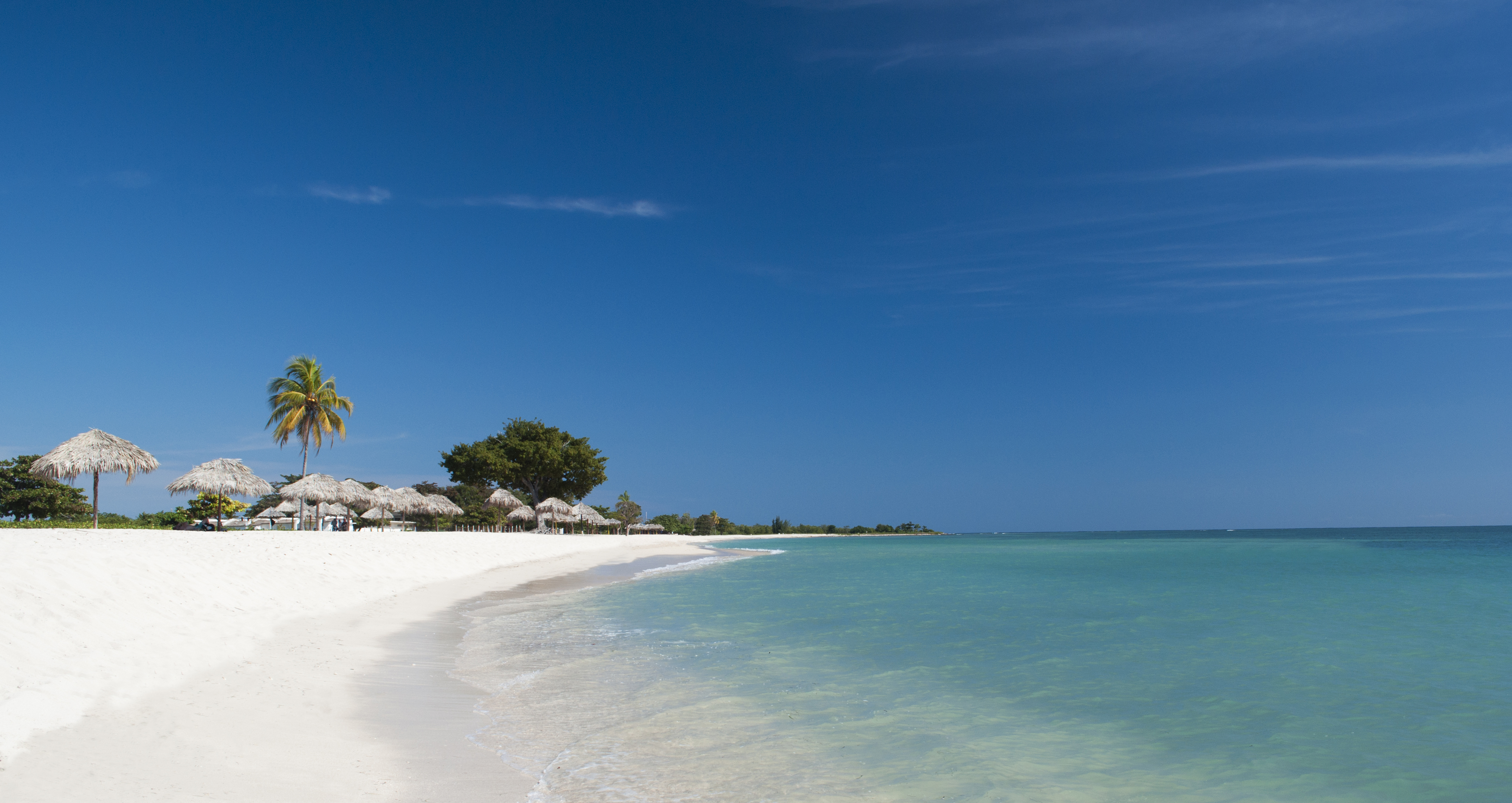 Playa tropical de arena blanca, mar turquesa, palmeras y sombrillas de paja.