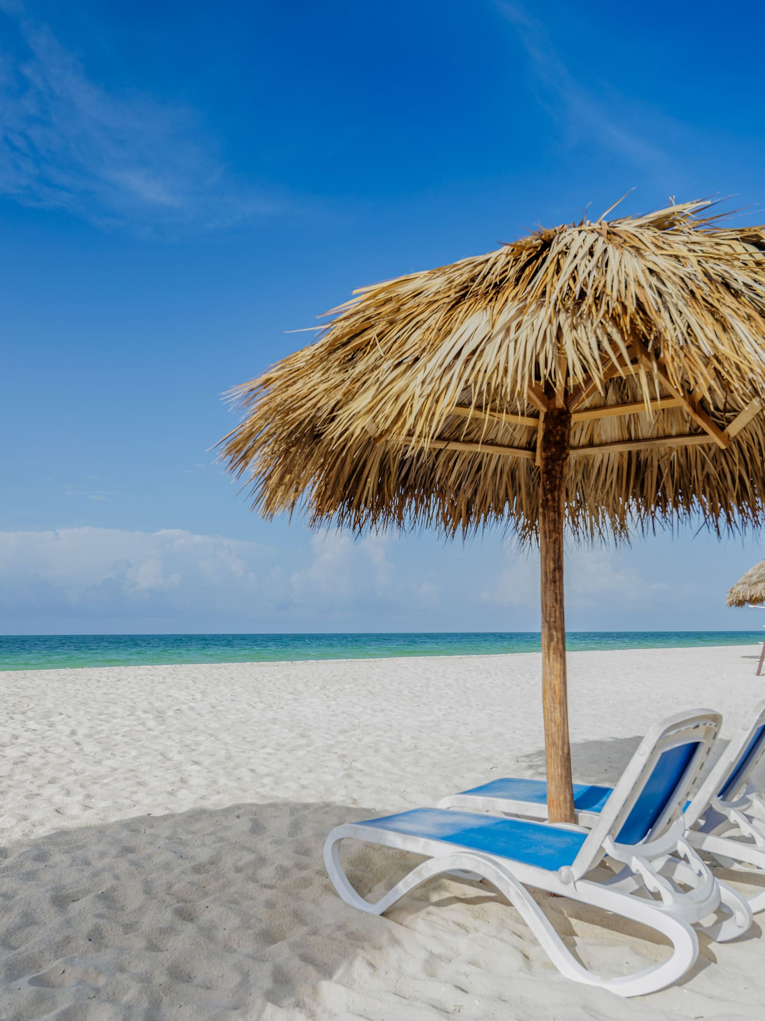 a beach with chairs and umbrellas