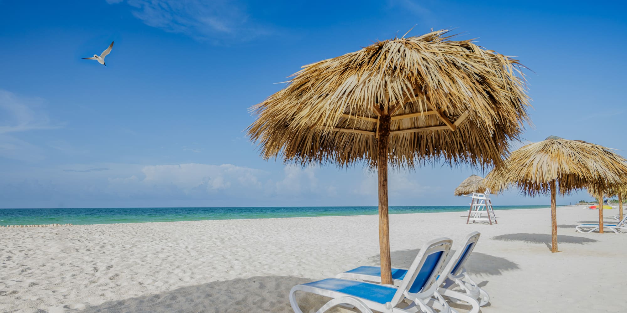 a beach with chairs and umbrellas