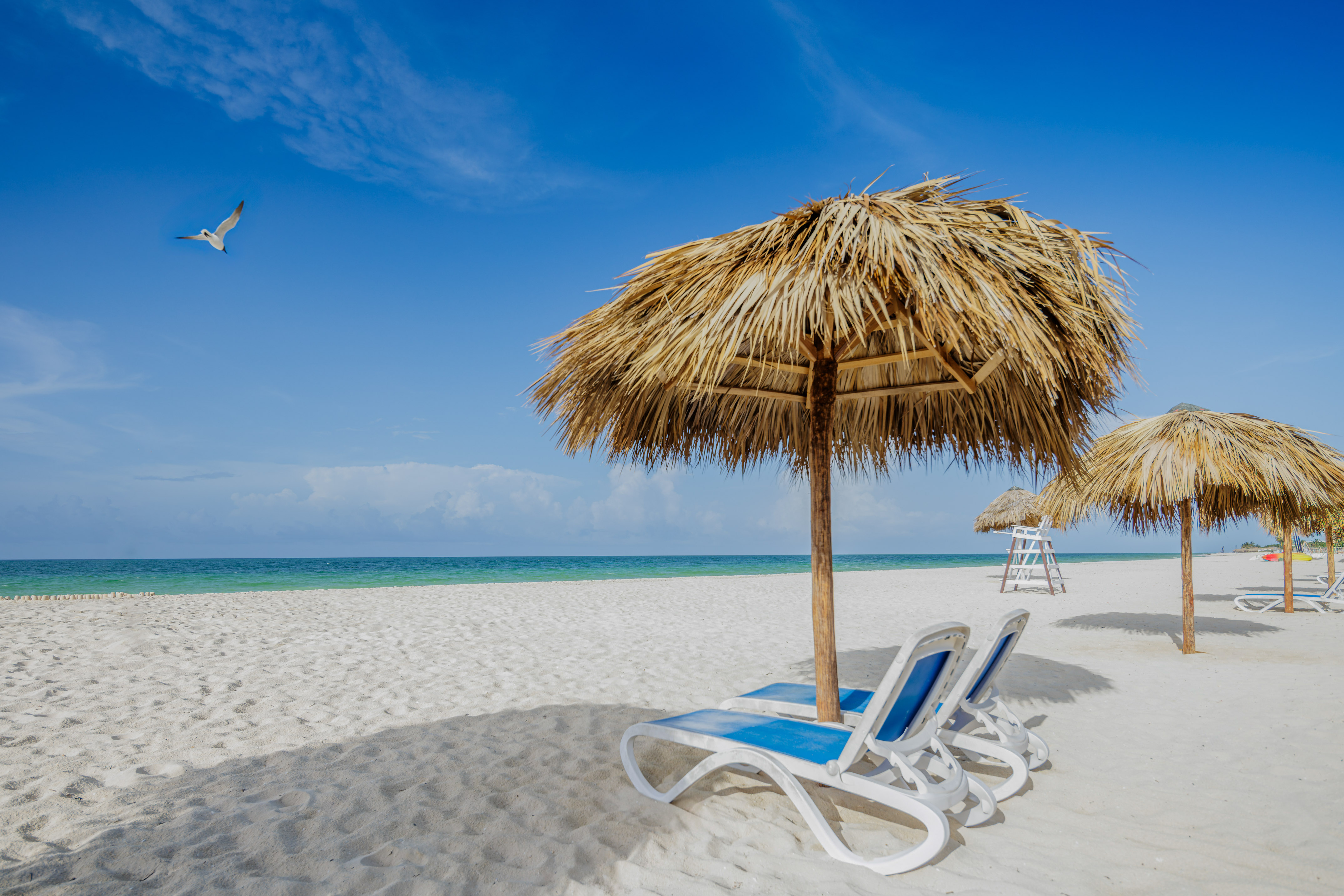 a beach with chairs and umbrellas