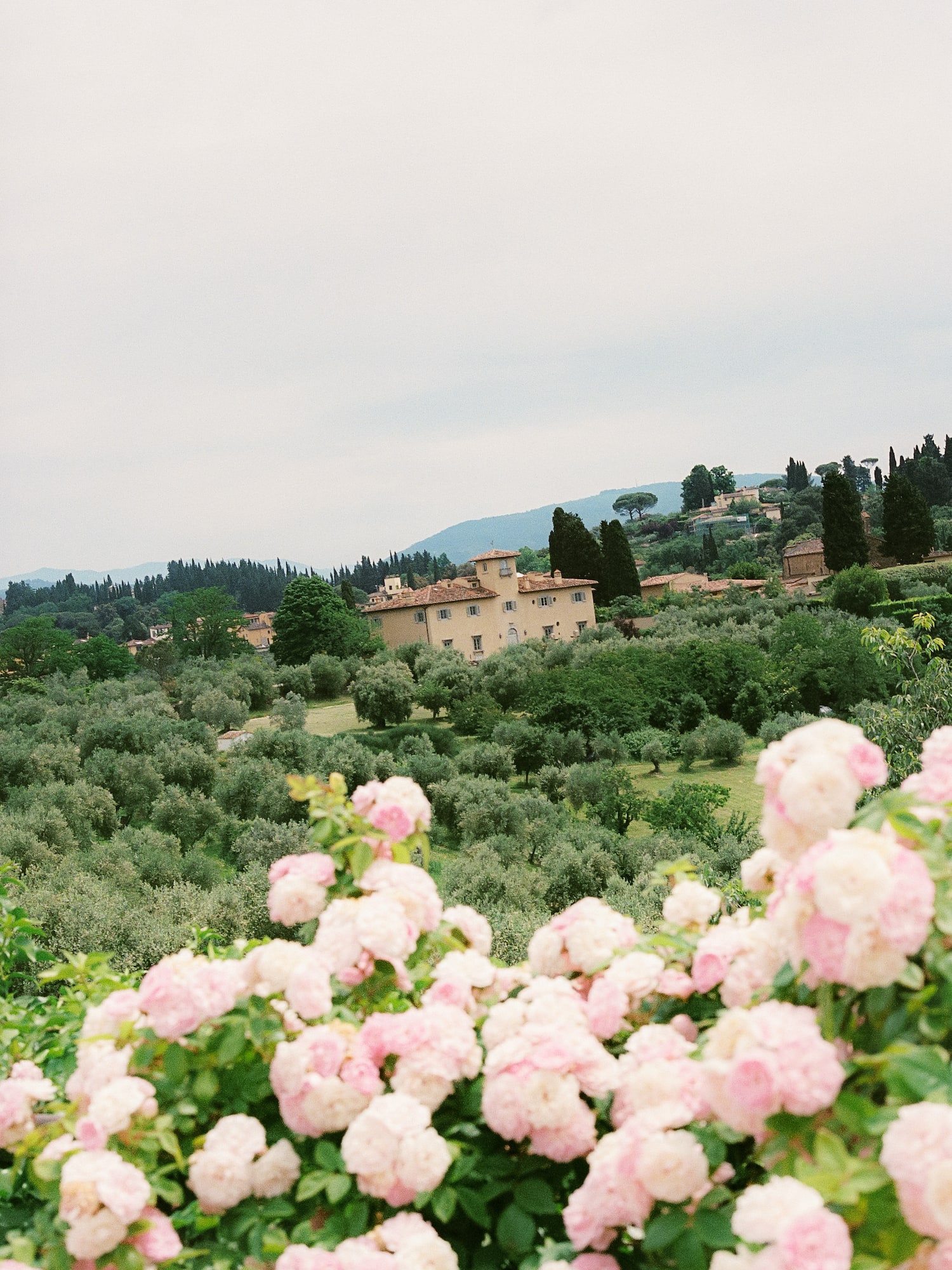 a house in a field of flowers