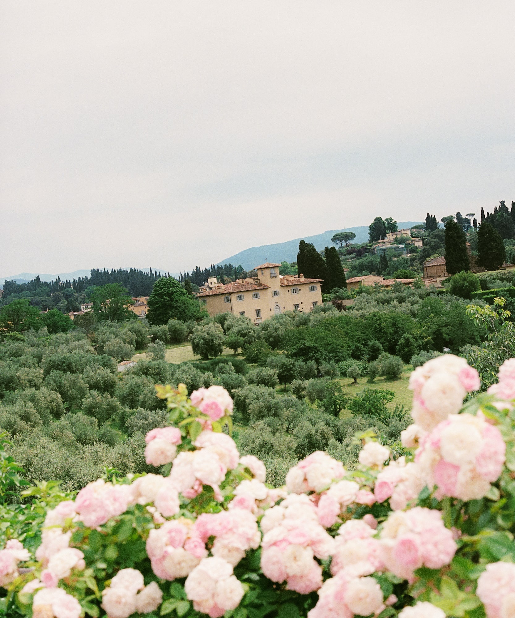 a house in a field of flowers