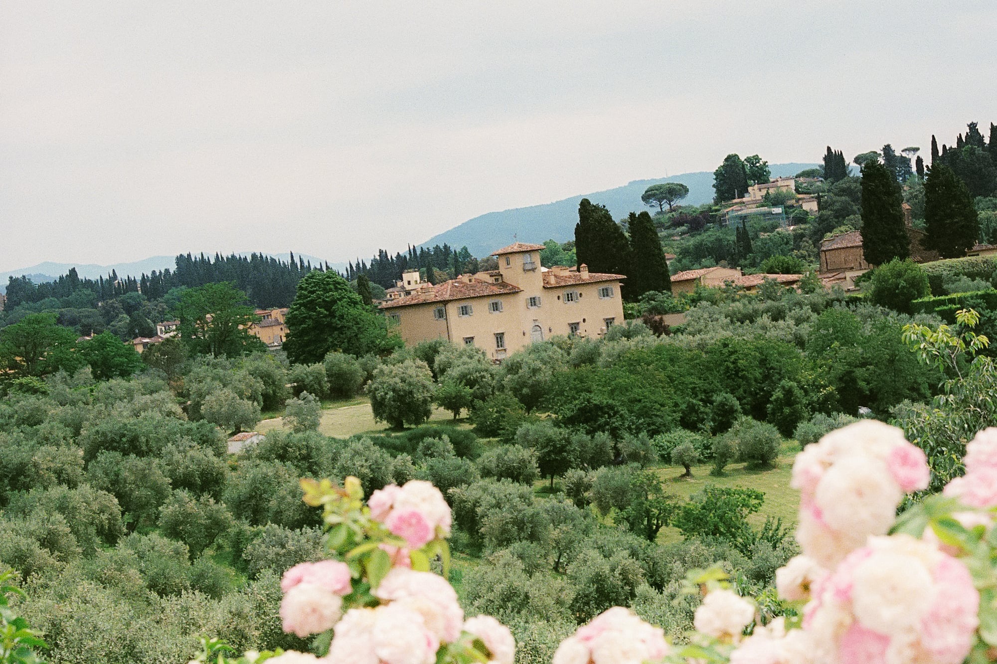 a house in a field of flowers