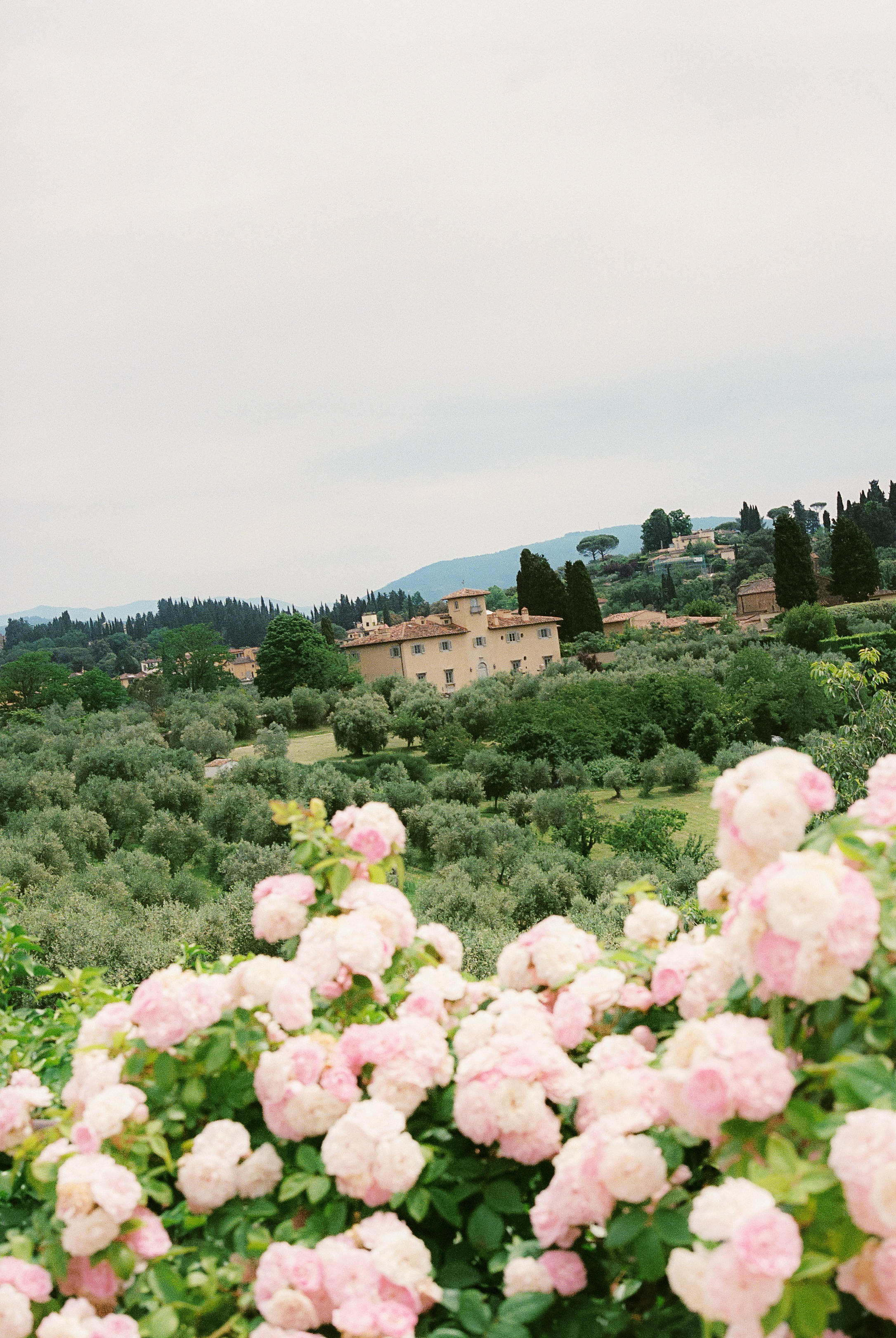 a house in a field of flowers
