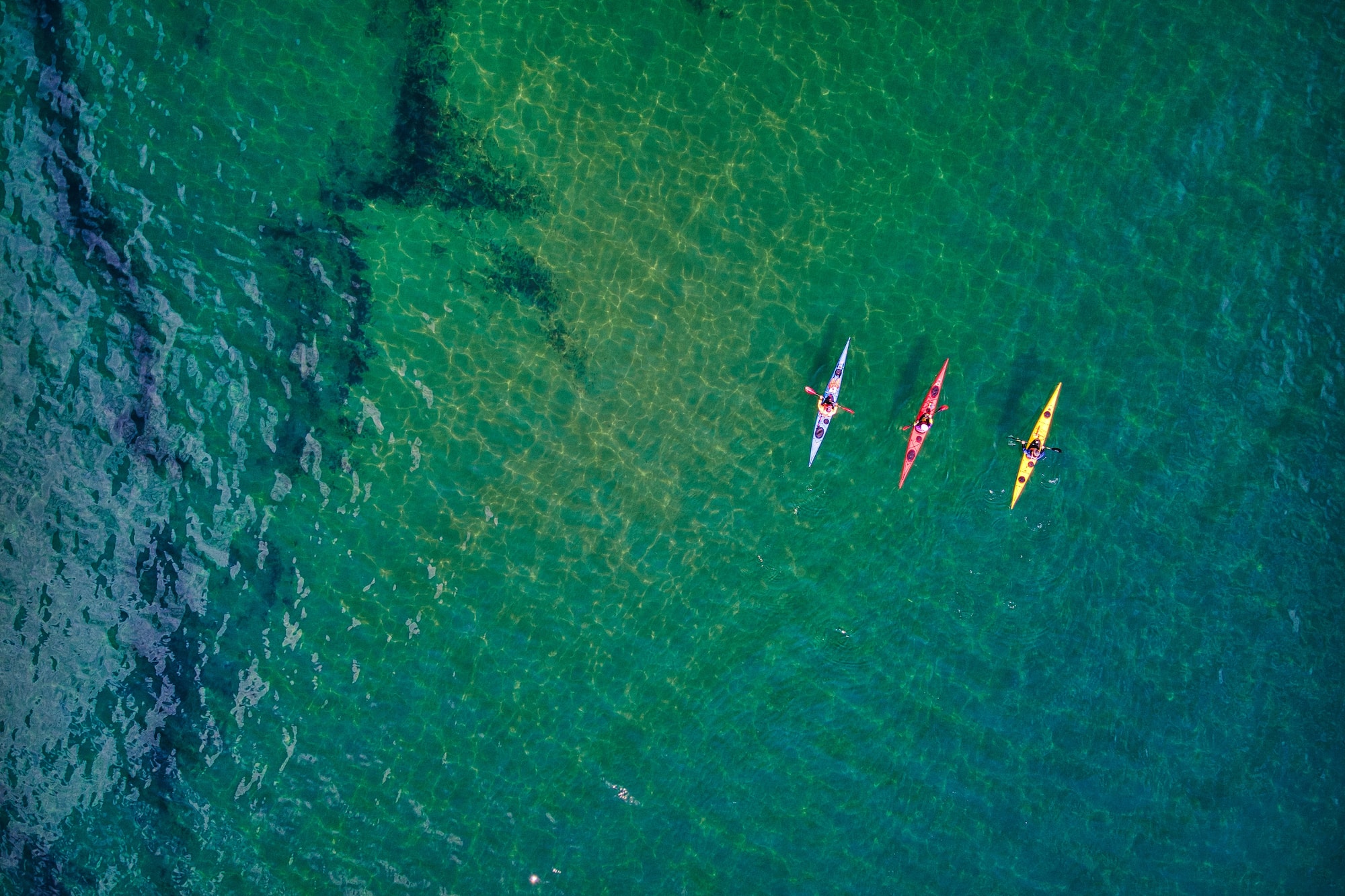 a group of kayaks in the water