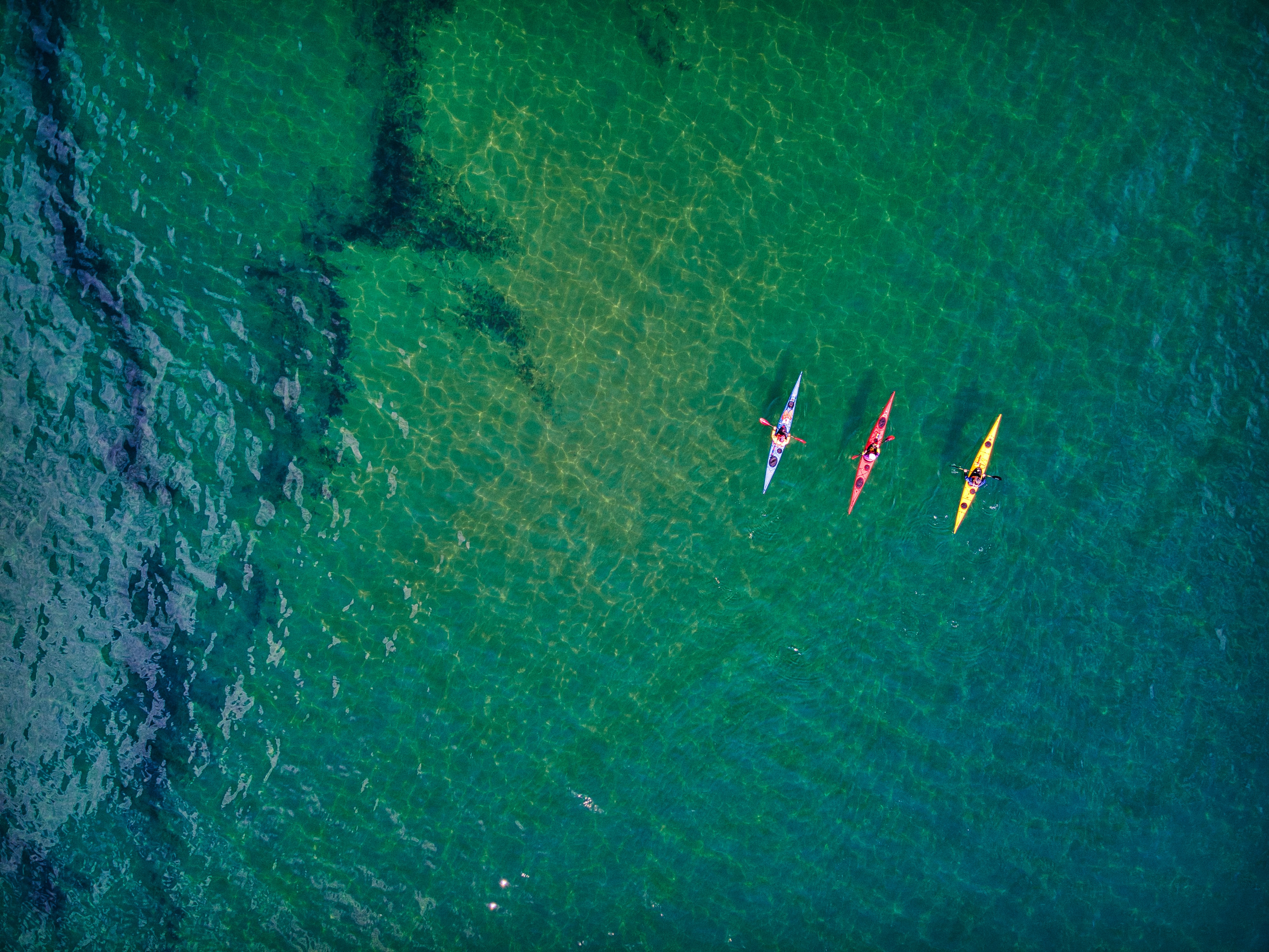 a group of kayaks in the water