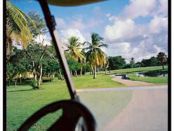 a view from a golf cart