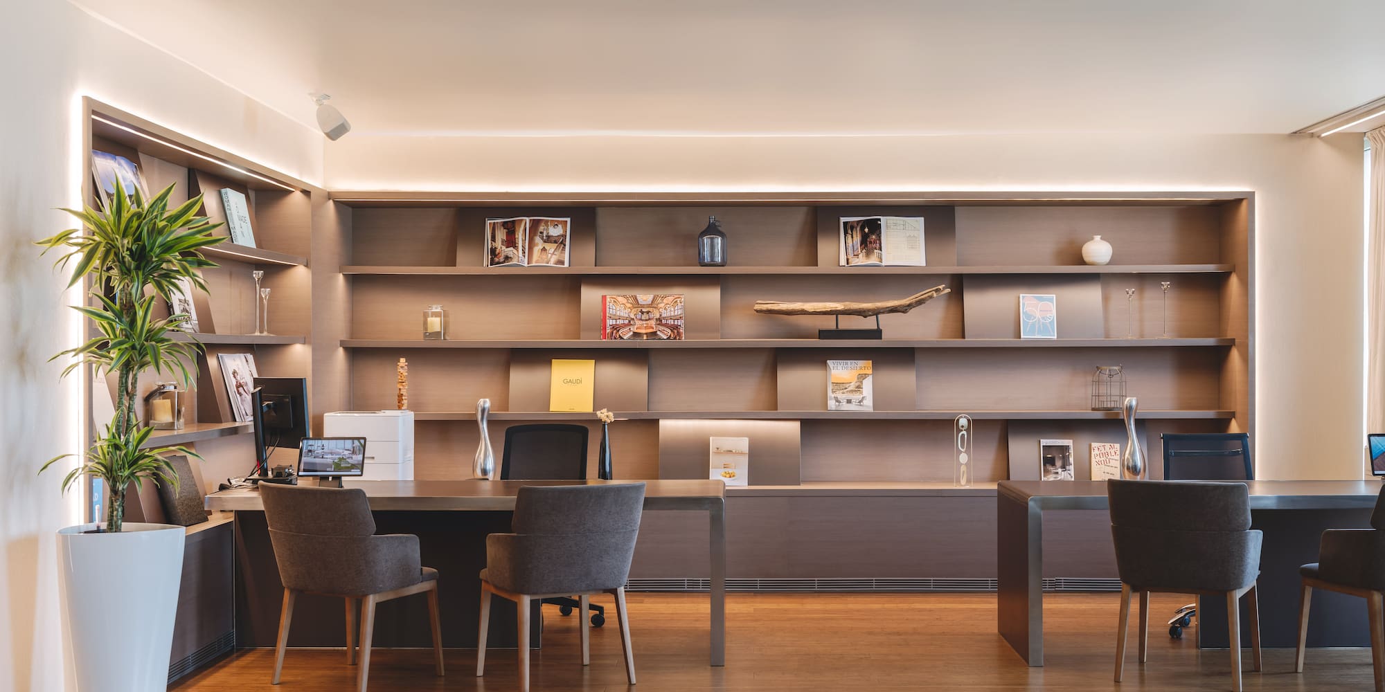 Modern office workspace with wooden desks, illuminated shelves, and potted plant.