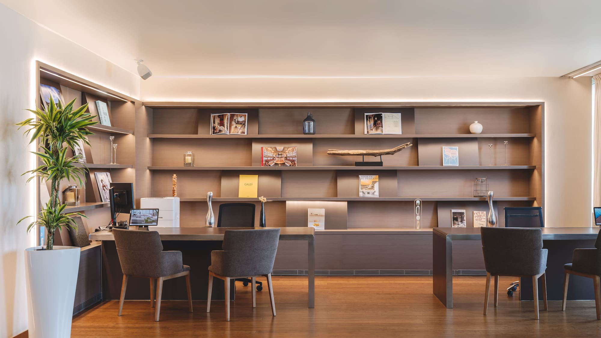 Modern office workspace with wooden desks, illuminated shelves, and potted plant.