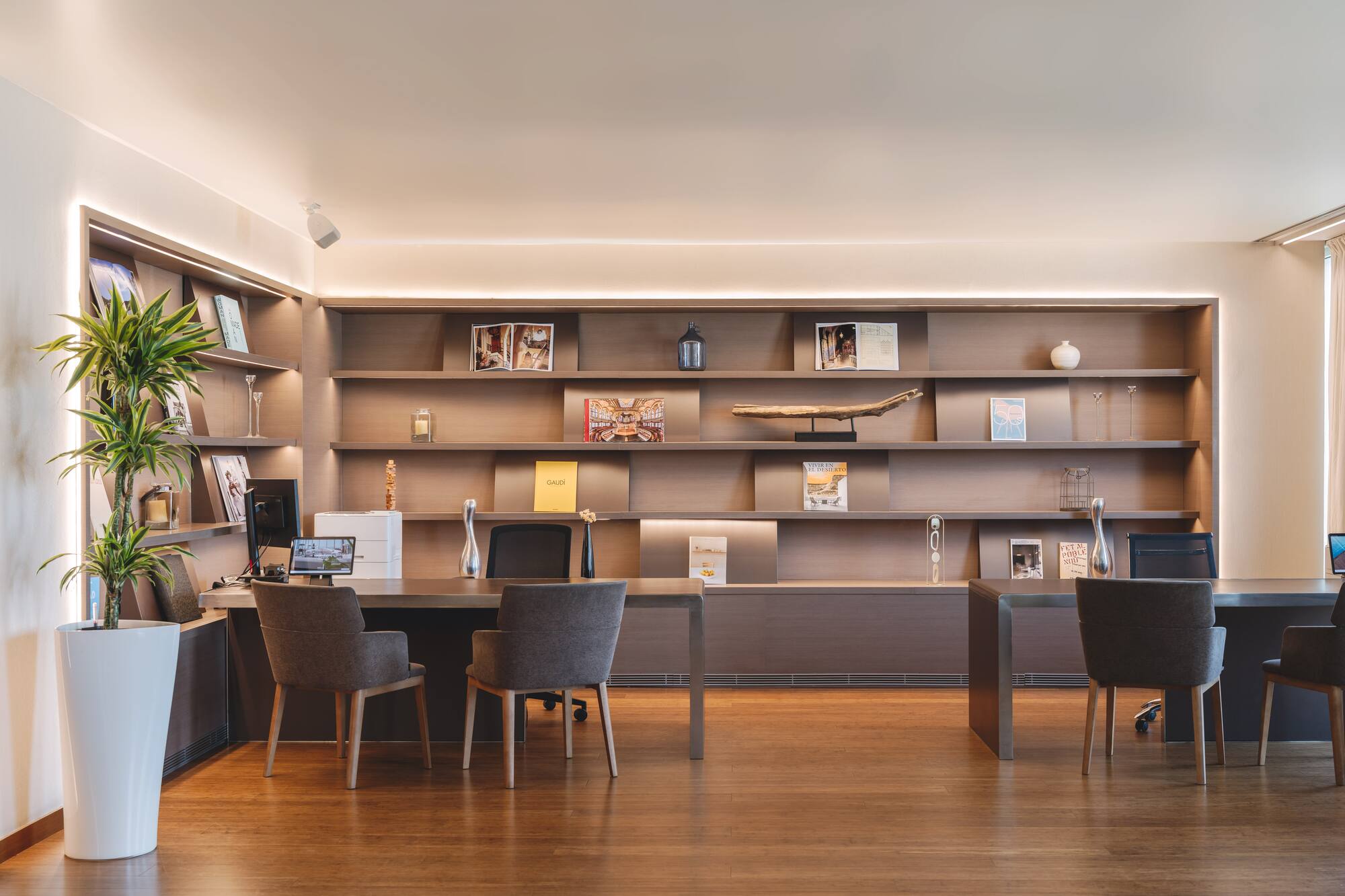 Modern office workspace with wooden desks, illuminated shelves, and potted plant.