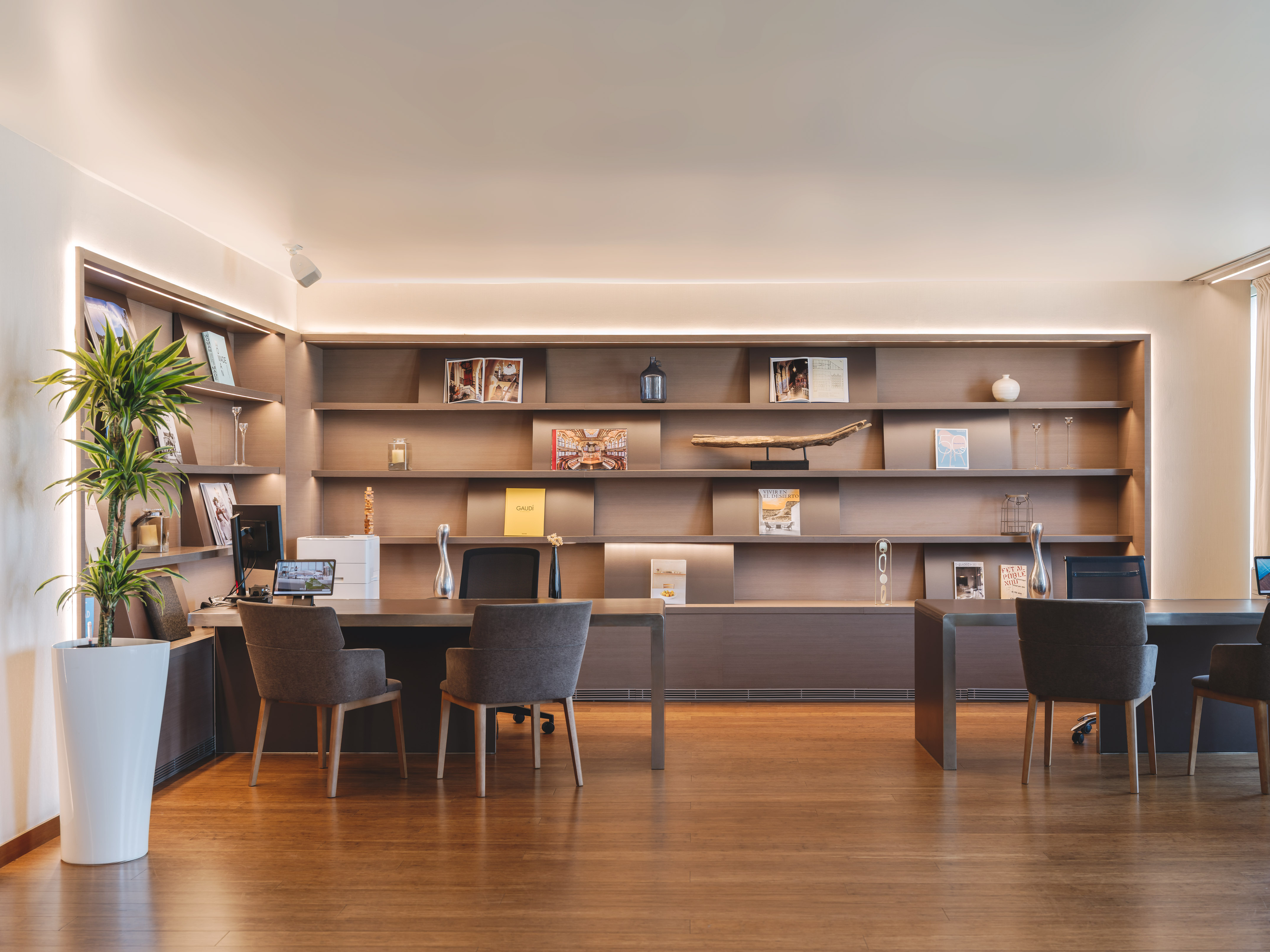 Modern office workspace with wooden desks, illuminated shelves, and potted plant.