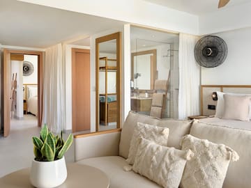 a room with a couch and a plant