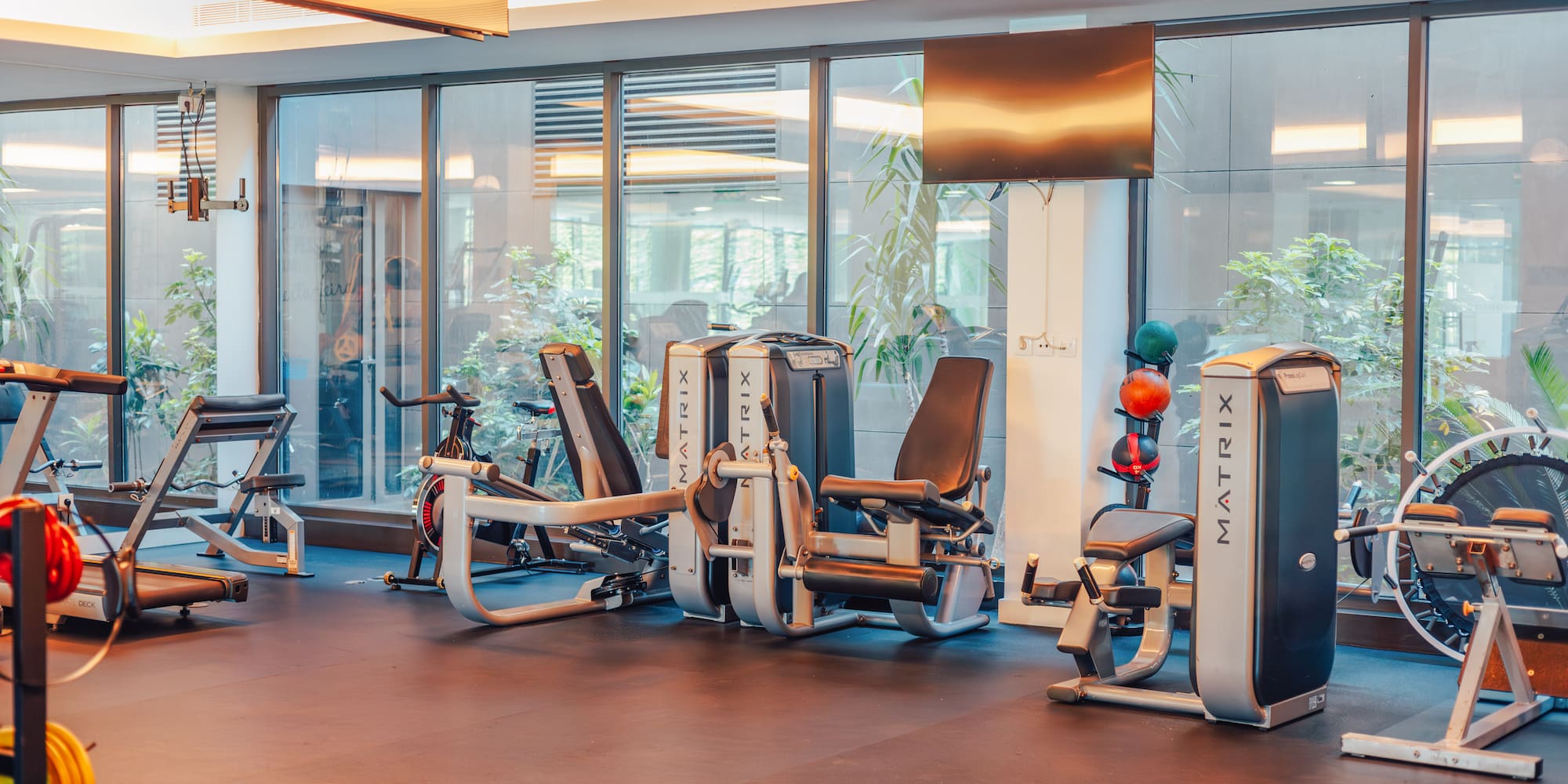 Modern gym with Matrix equipment, treadmills, and weight machines next to large windows.