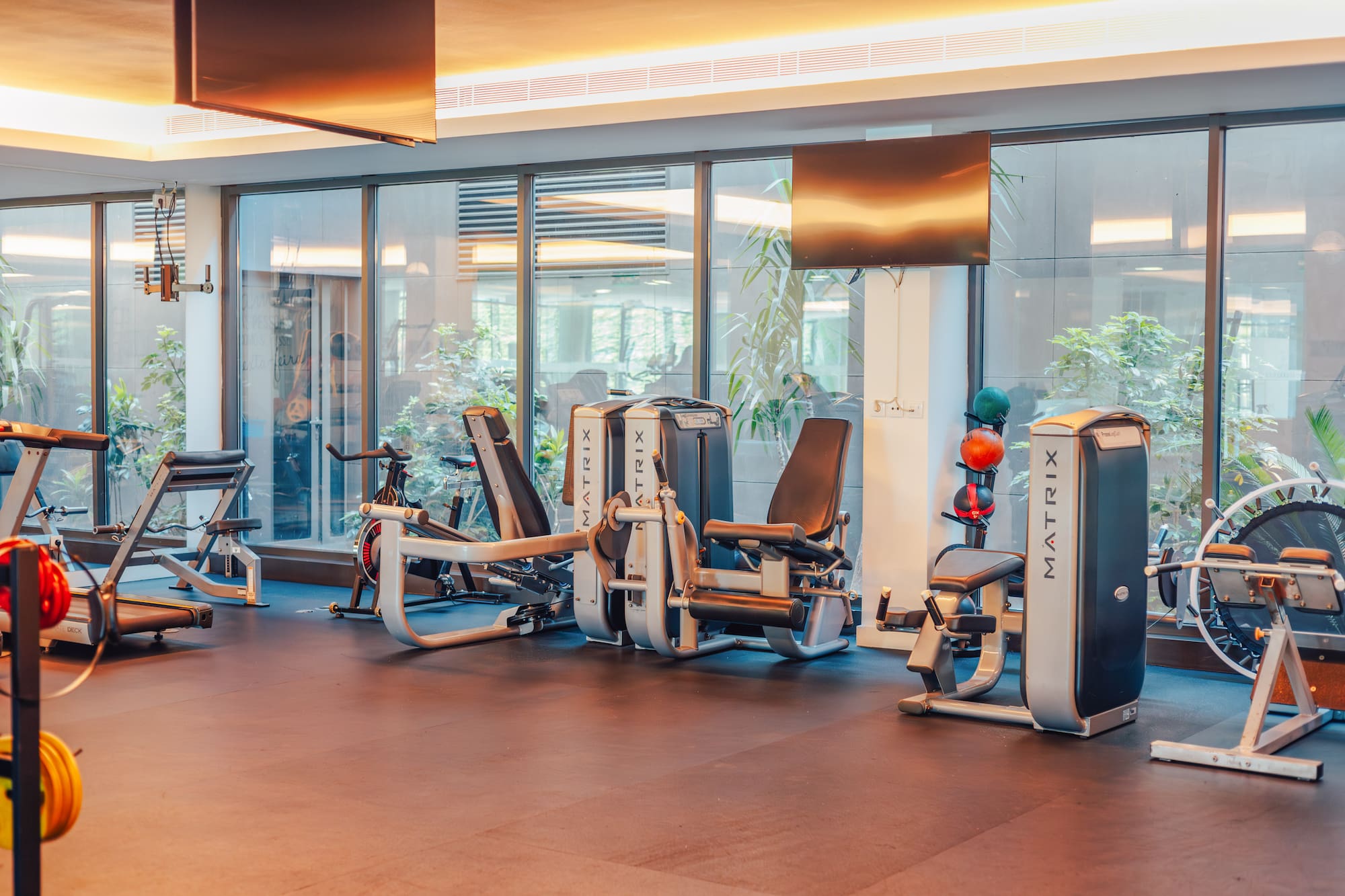 Modern gym with Matrix equipment, treadmills, and weight machines next to large windows.