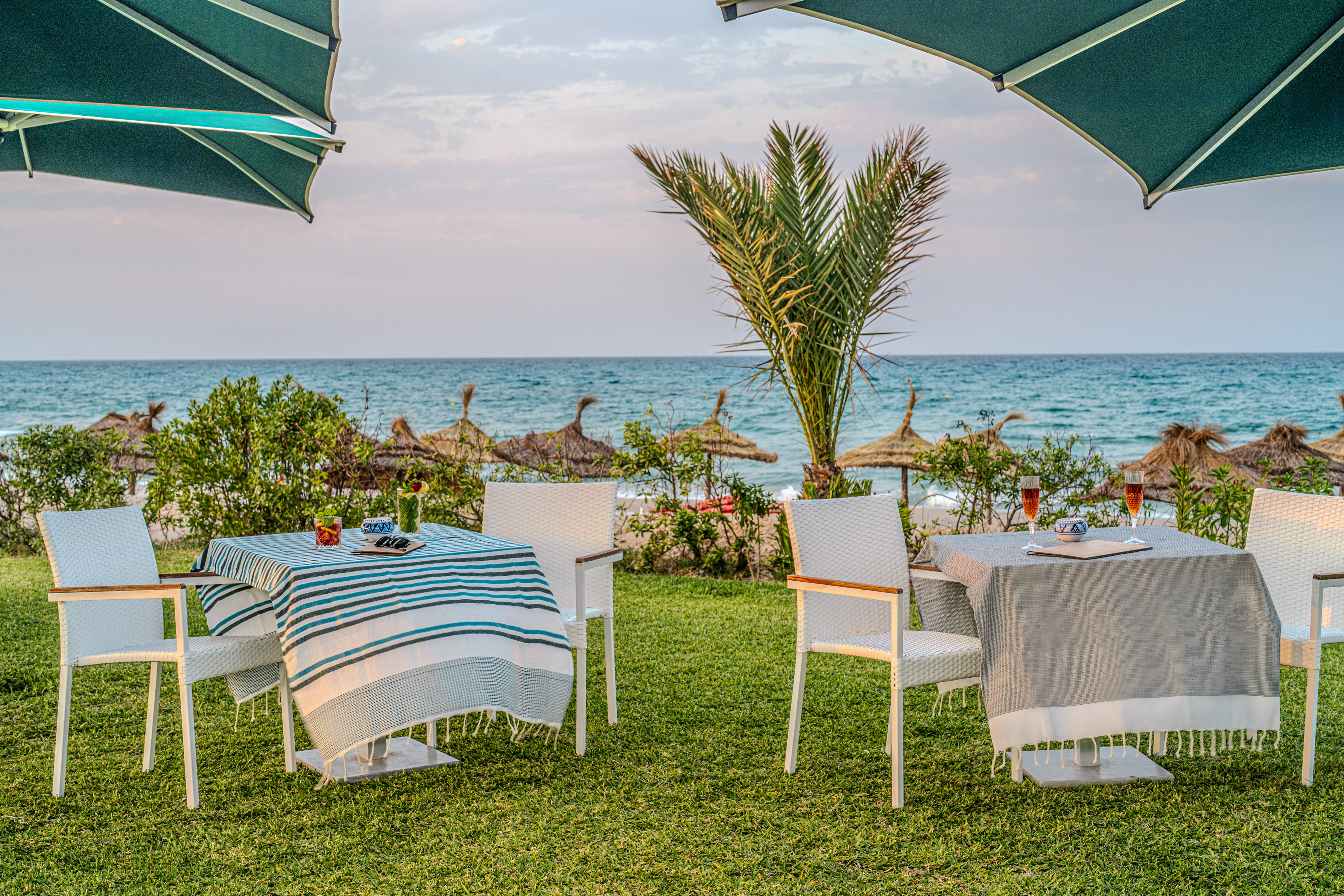 Terraza de restaurante en la playa con mesas, sillas, palmera y mar al atardecer.