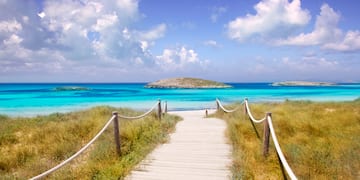 a wooden path leading to a body of water