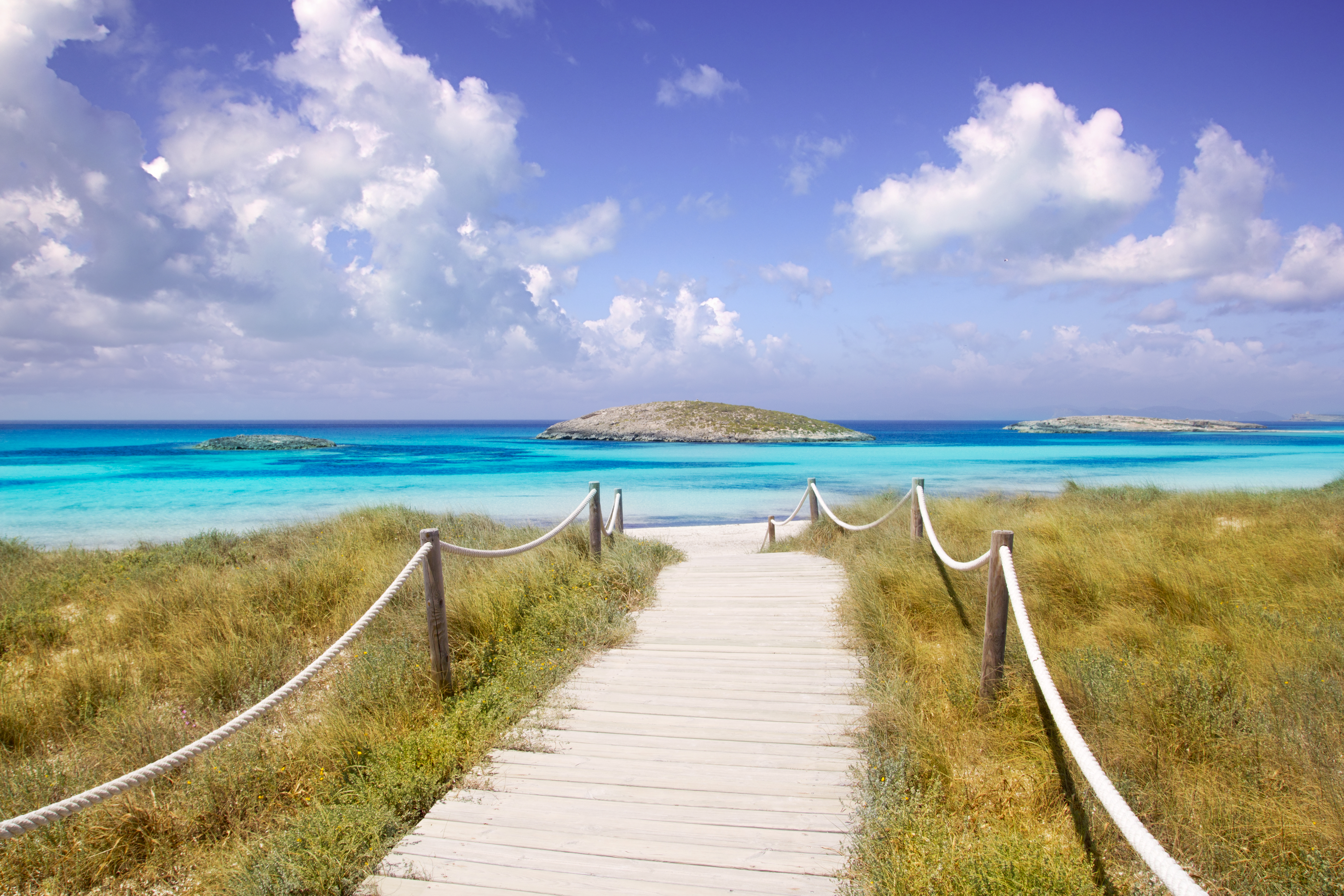 a wooden path leading to a body of water