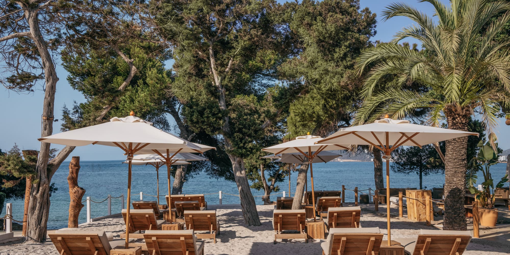 a group of chairs and umbrellas on a beach.