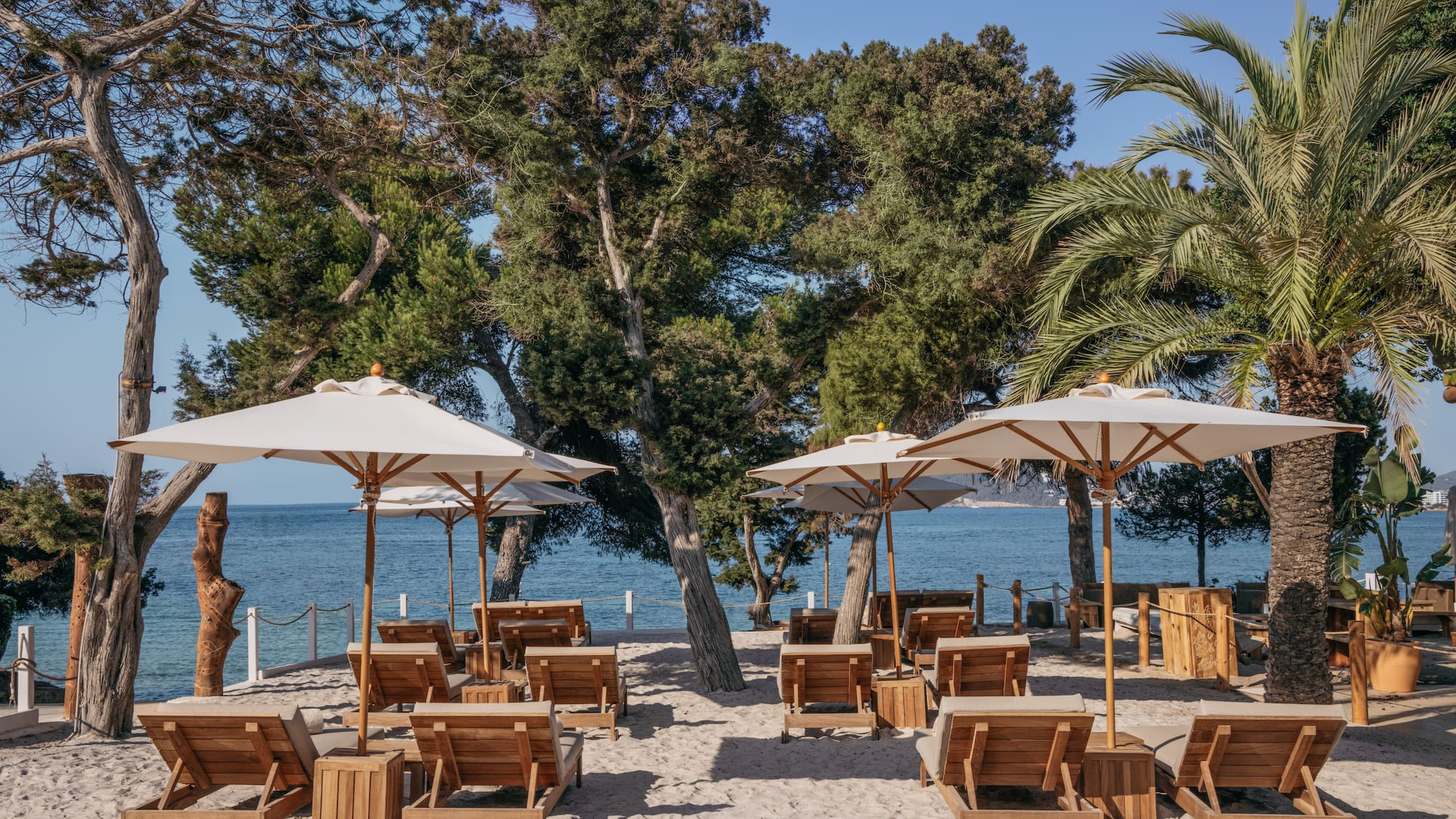 a group of chairs and umbrellas on a beach