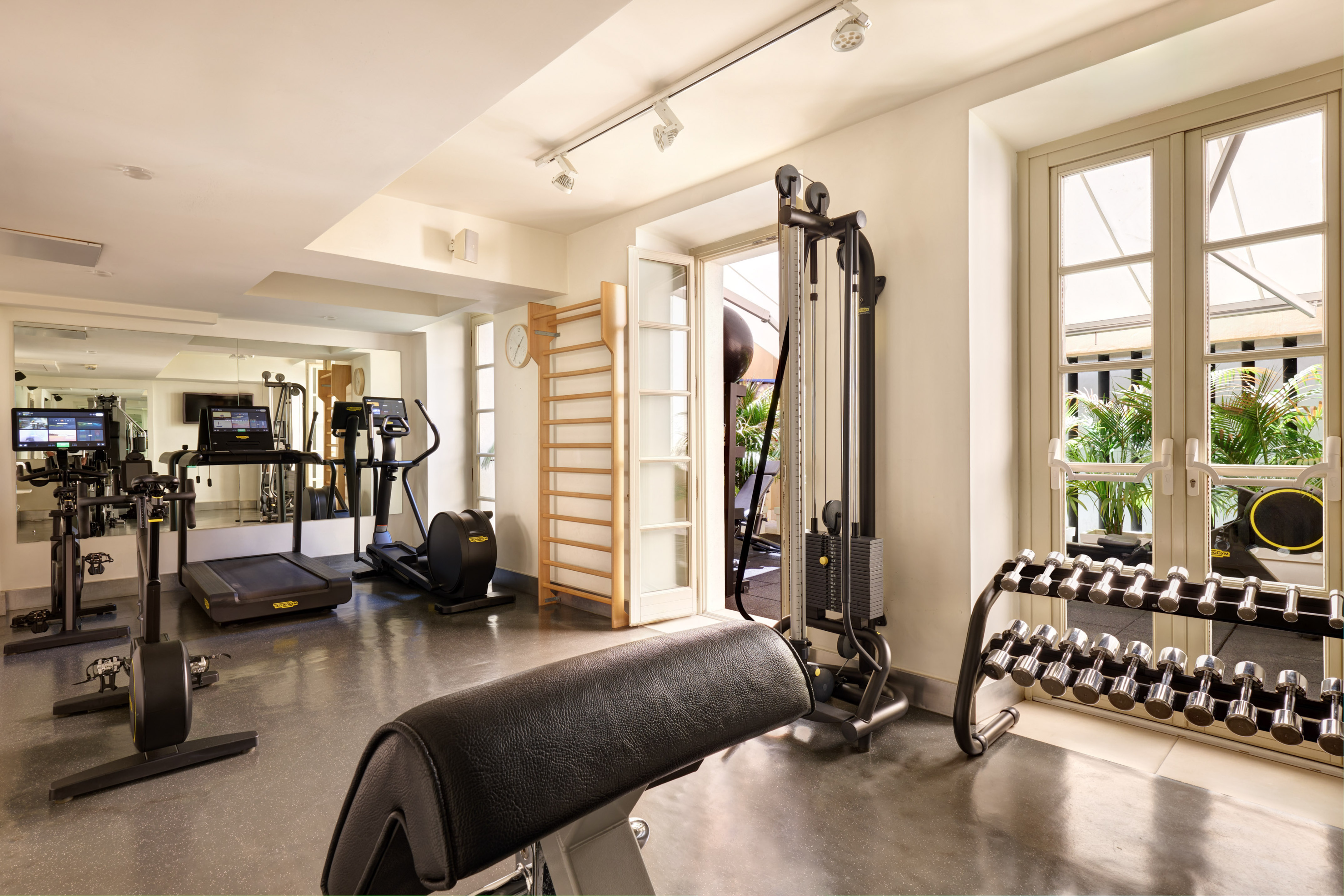 Modern gym with treadmill, elliptical, bikes, weights, and natural light.