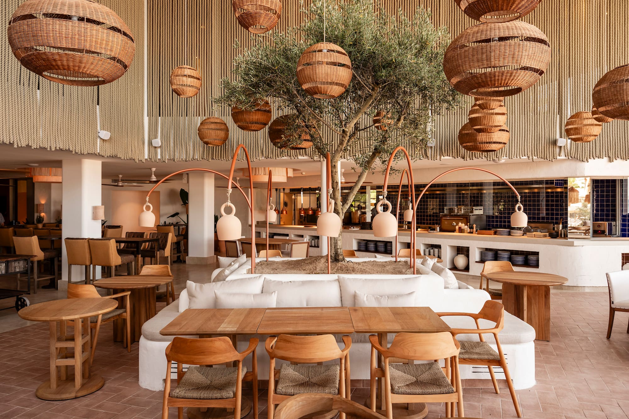 a room with a tree and chairs.