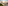 Coastal resort sunrise with a white gazebo, ocean, and beach palapas.