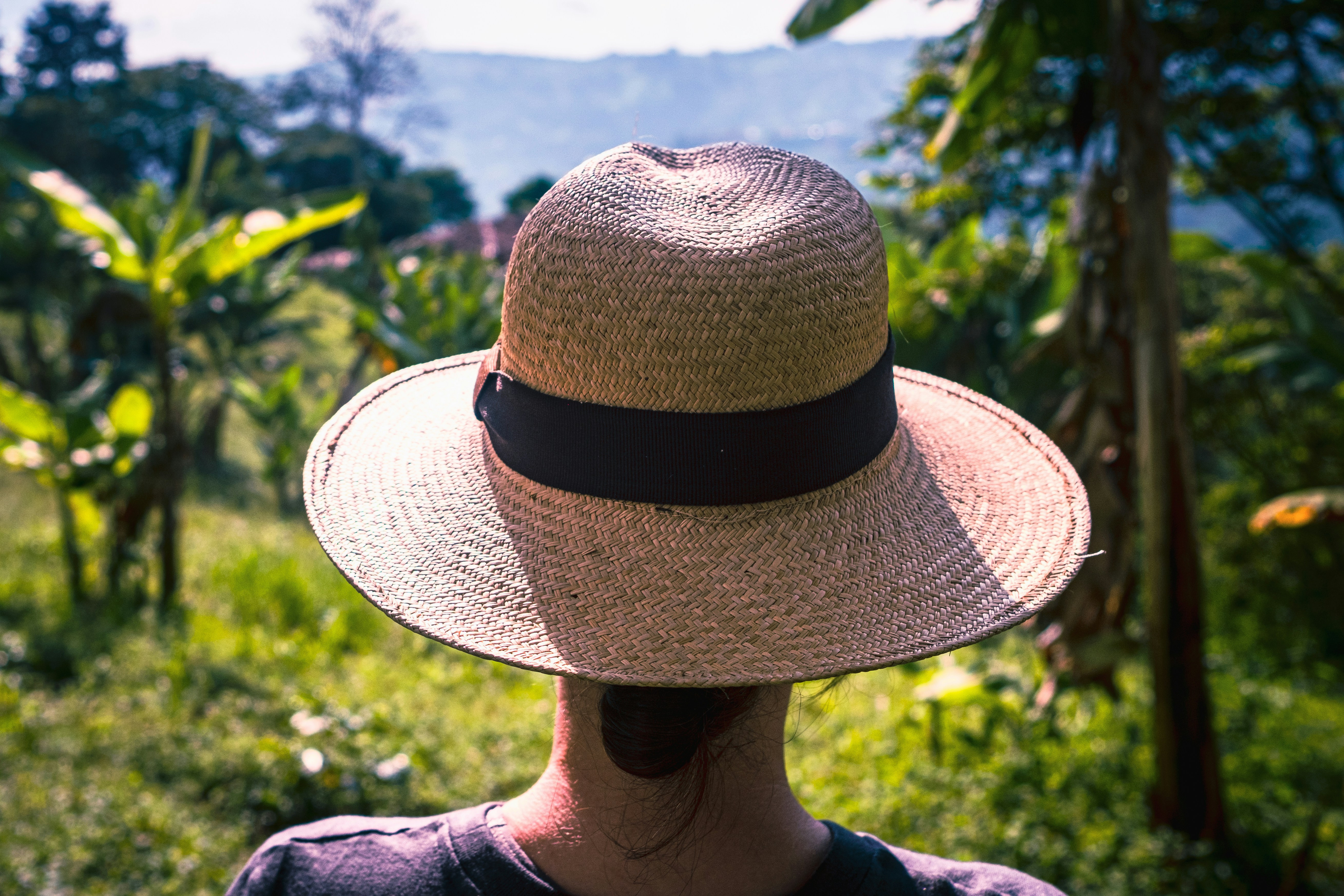 Person's back with straw hat, overlooking green tropical landscape.