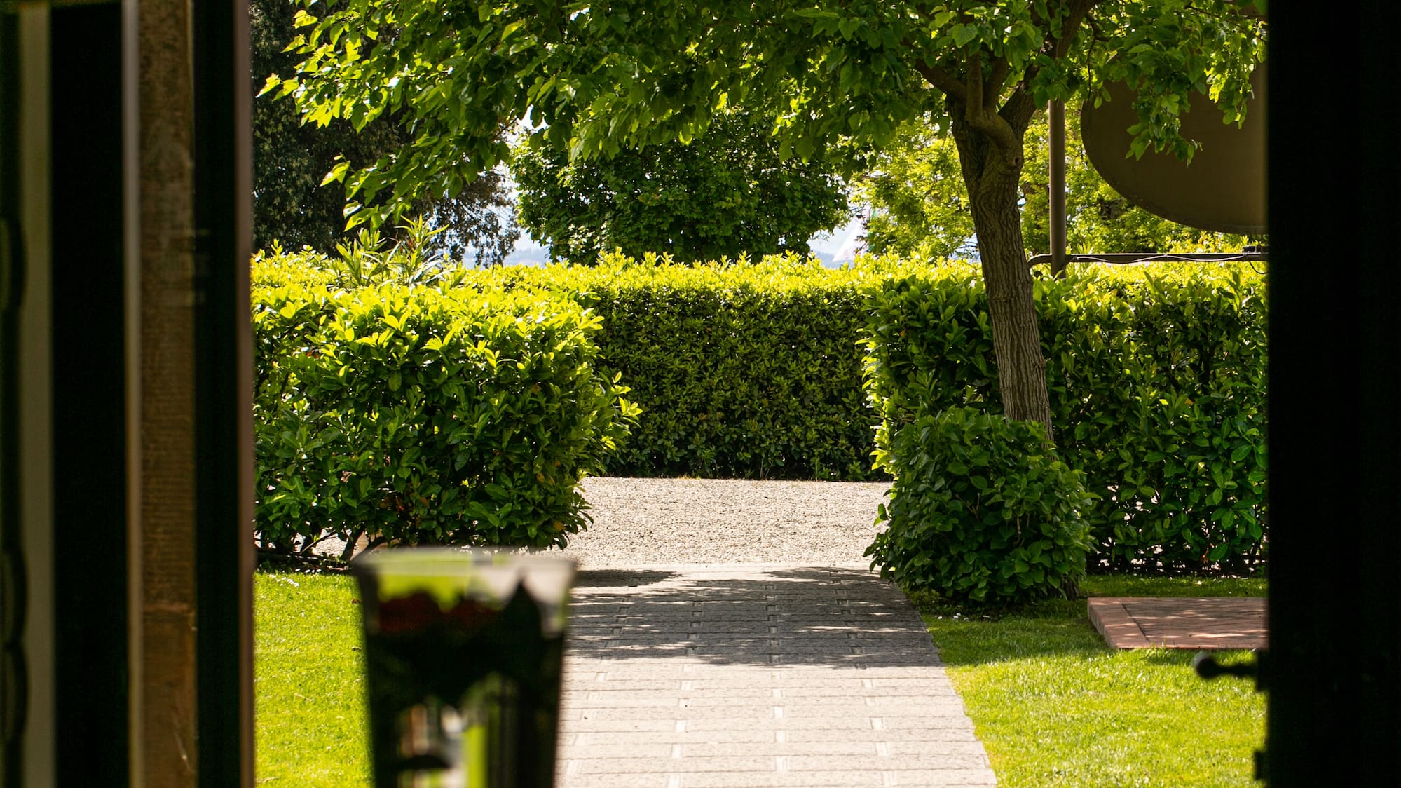 a glass of water on a table