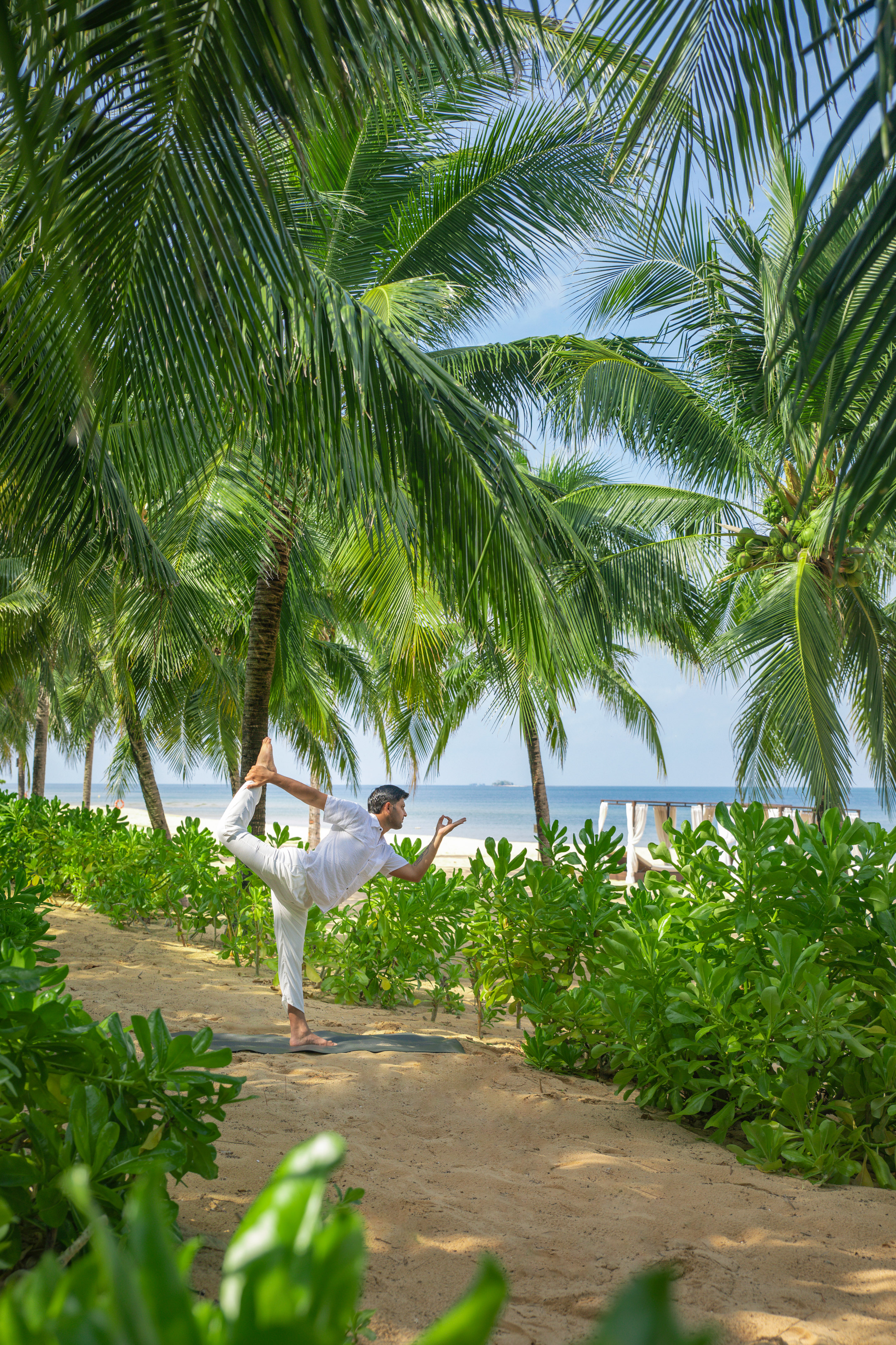 Tropical beach yoga: Man in dancer pose on sand, palm trees, ocean.