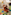 Large red panda plush toy in a colorful kids' playroom with teepee and toys.