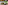 Spicy Larb salad with fresh herbs, dried chilies, vegetables, and sticky rice.