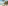 a beach with palm trees and blue water