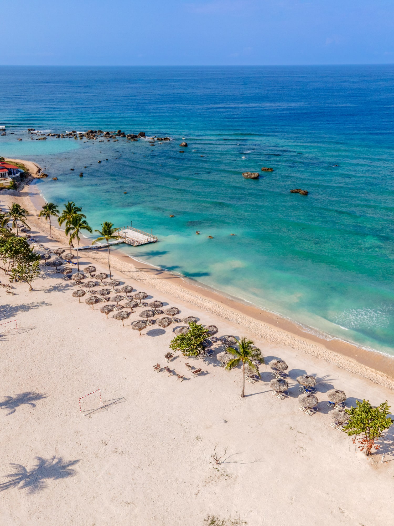 a beach with umbrellas and palm trees