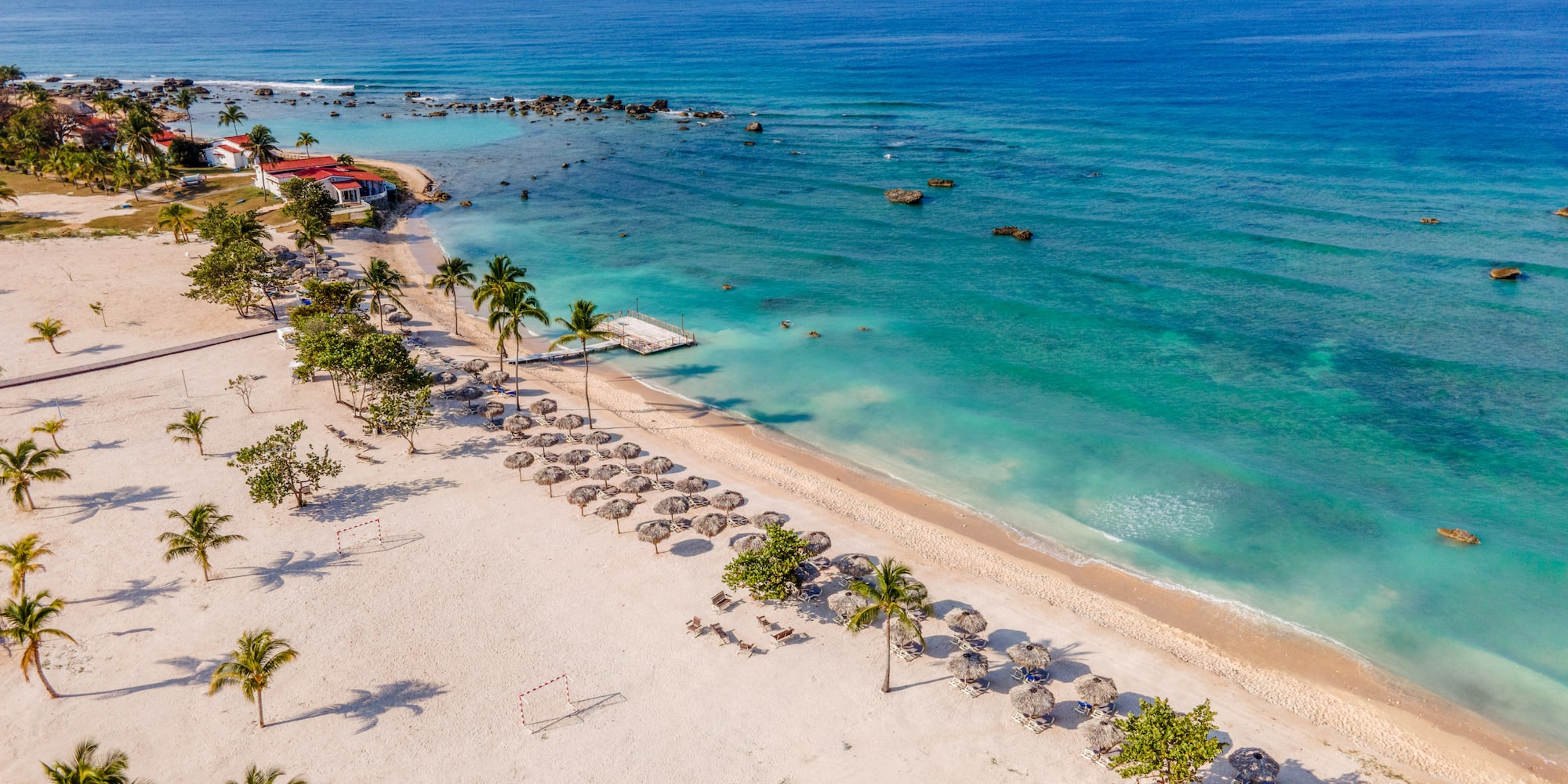 a beach with umbrellas and palm trees