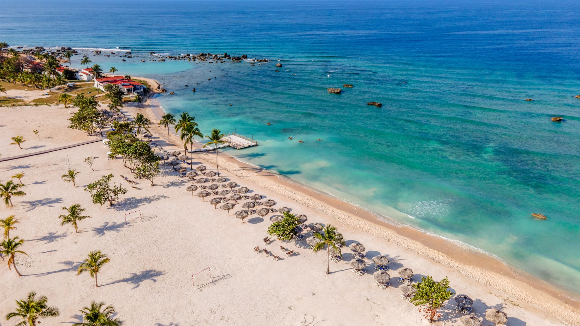 a beach with umbrellas and palm trees