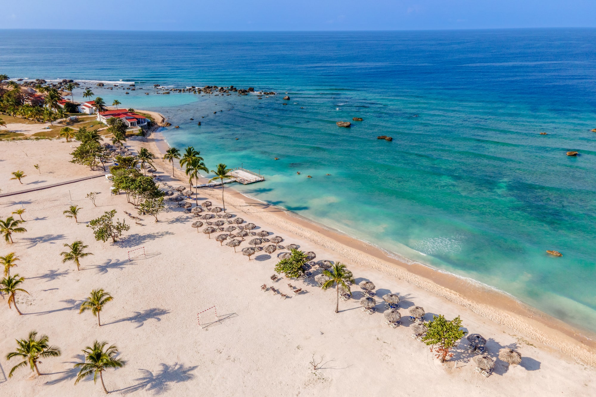 a beach with umbrellas and palm trees