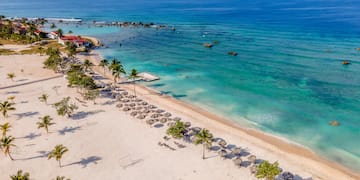 a beach with umbrellas and palm trees