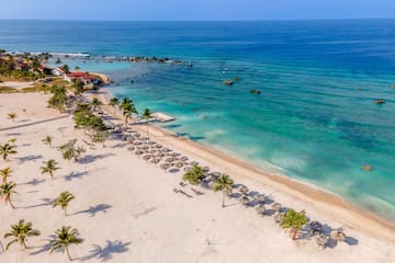 a beach with umbrellas and palm trees