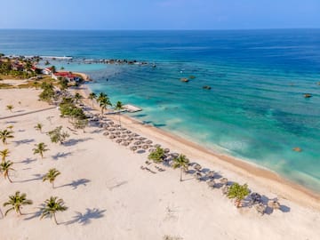 a beach with umbrellas and palm trees