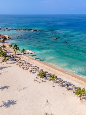 a beach with umbrellas and palm trees