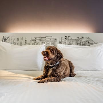 a dog lying on a bed